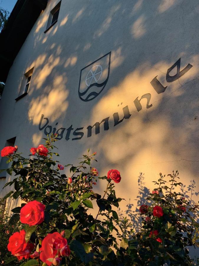 Landgut Voigtsmuehle Otel Friedland  Dış mekan fotoğraf