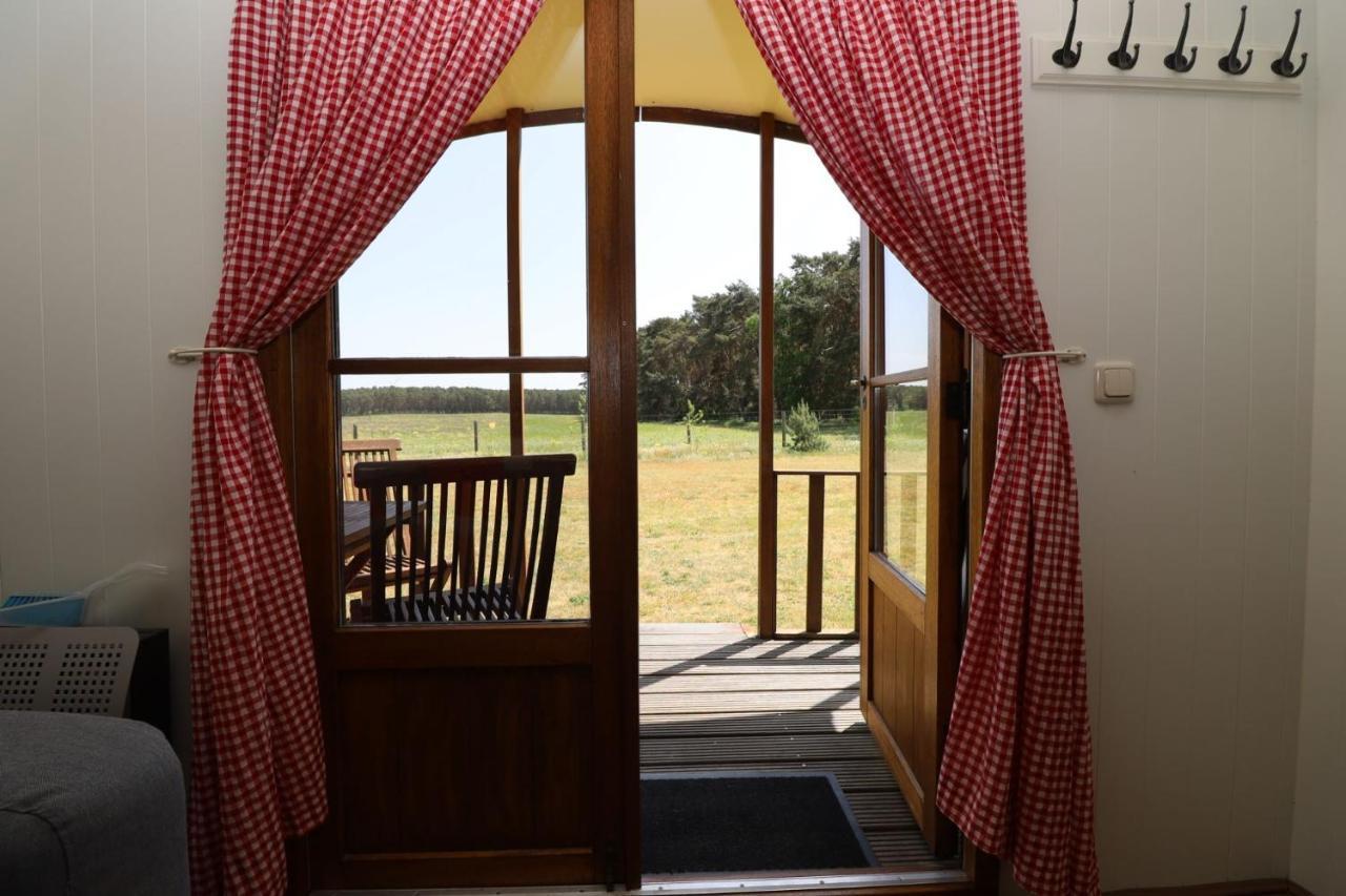 Landgut Voigtsmuehle Otel Friedland  Dış mekan fotoğraf