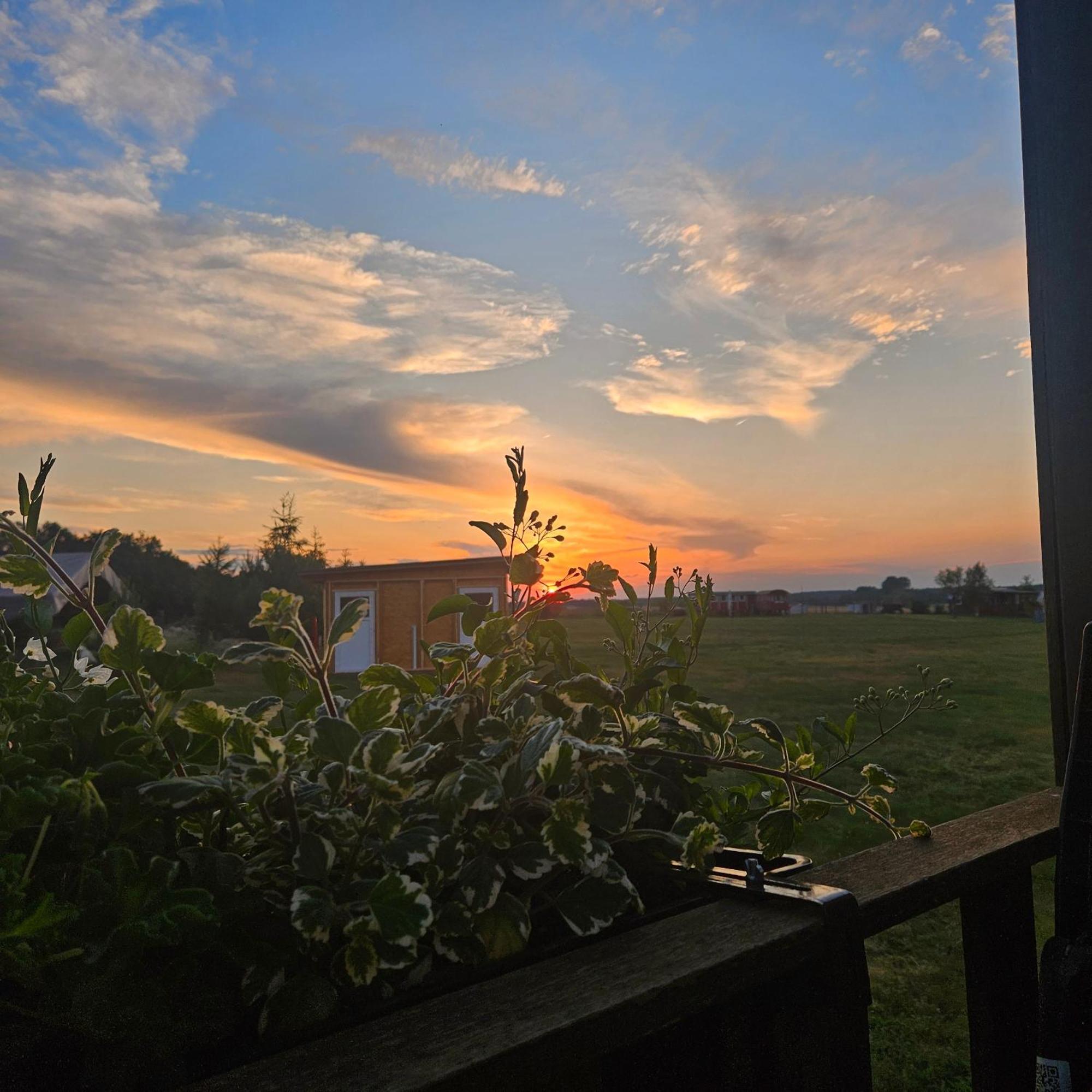 Landgut Voigtsmuehle Otel Friedland  Dış mekan fotoğraf