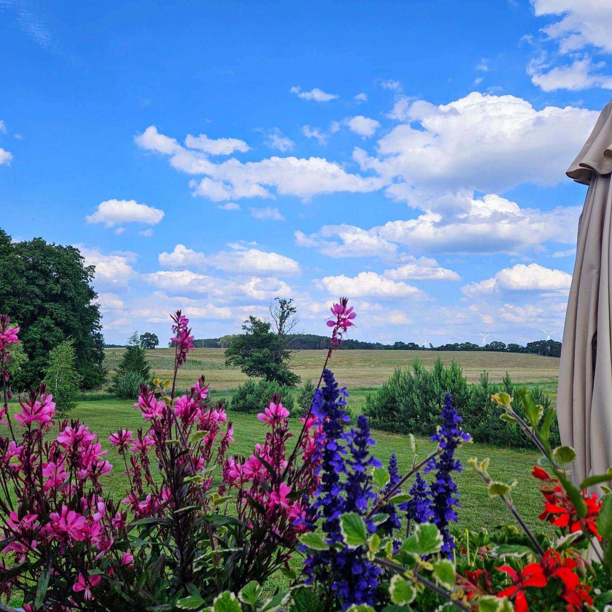 Landgut Voigtsmuehle Otel Friedland  Dış mekan fotoğraf